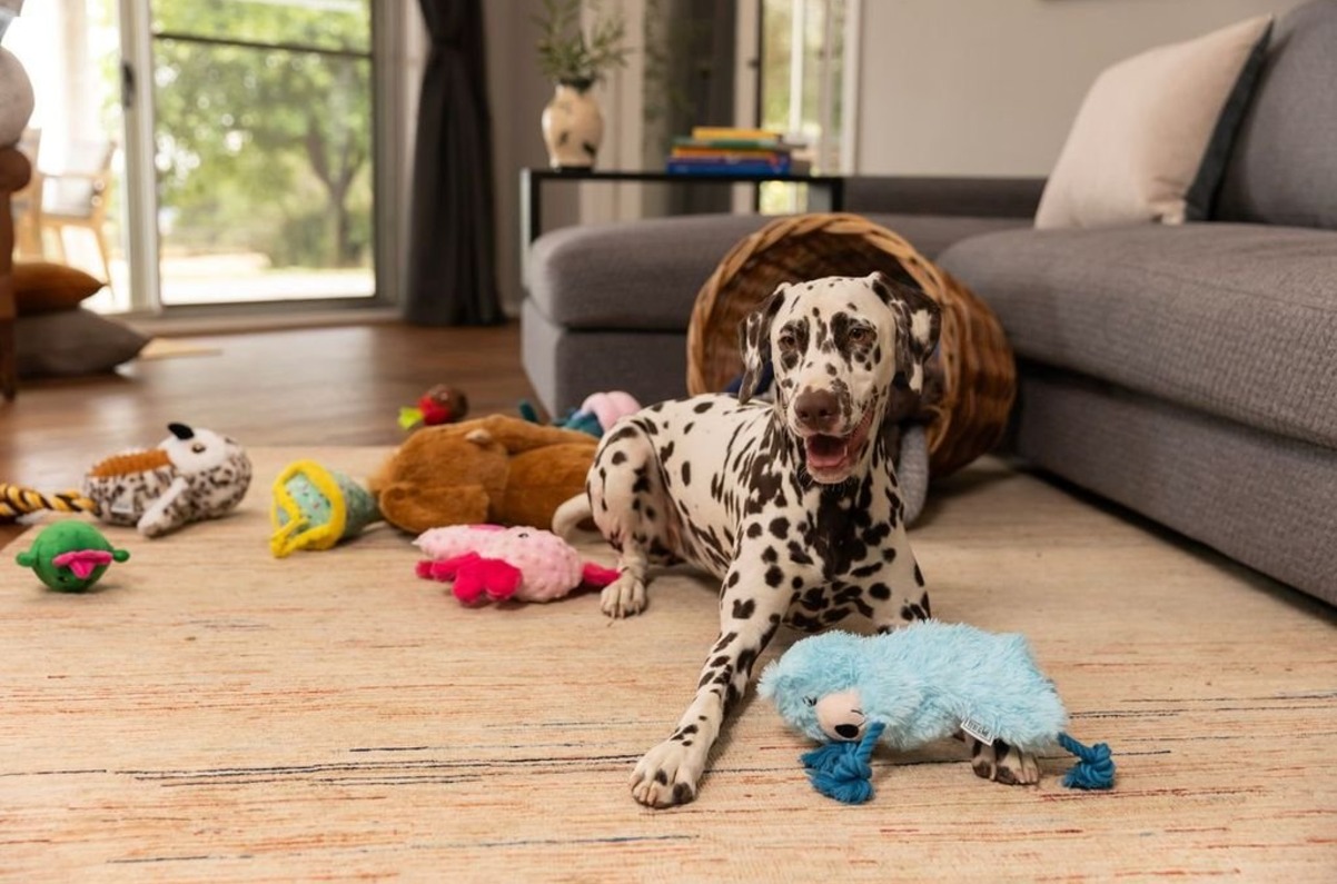 Petstock