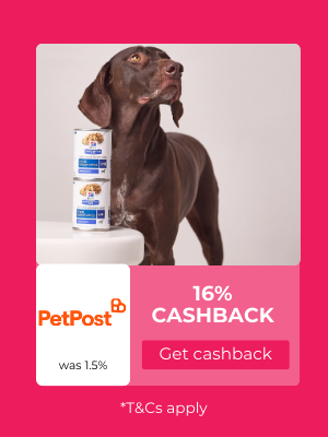 Petpost
