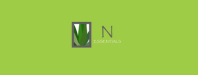 N-Essentials - logo