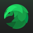 SafeShellVPN logo